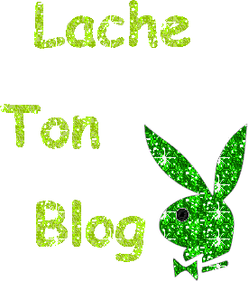 laisse ton blog OK