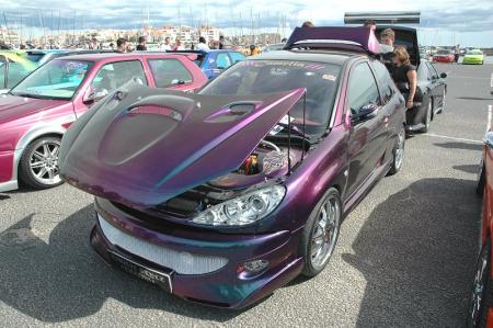 206 tuning